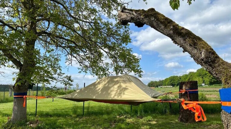 Baumzelt im LindenGut