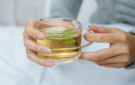 Biohotel Lindengut Dipperz Fasten von Zuhause mit Tee