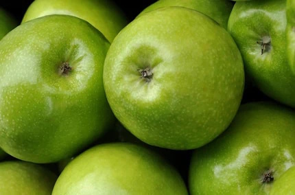 Biohotel Lindengut Fasten zu Hause Äpfel