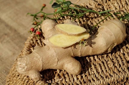 Biohotel Lindengut Fasten zu Hause Ingwer