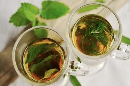 Biohotel Lindengut Fasten zu Hause mit Kräutertee