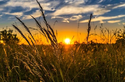 Biohotel Lindengut Fastenwandern in der Rhön Sonnenuntergang