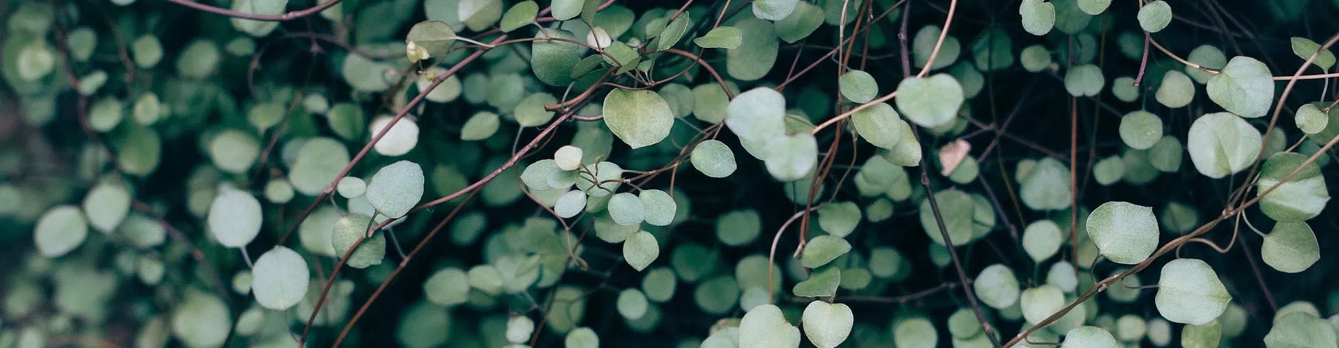 Biohotel Lindengut nachhaltiges Hotel