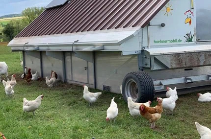 Dipperz Demeter Landwirtschaft Hühnermobil