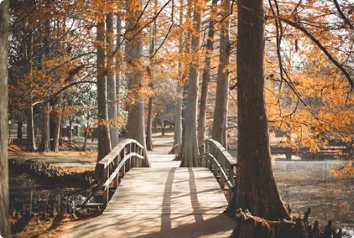 Fastenwandern im Wald