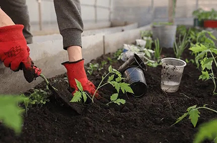 Regenerative Landwirtschaft im LindenGut